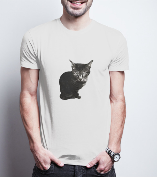 Smileymaya15 How Long Have I Been Here Kitten Cat Black Gray Tabby T-Shirt