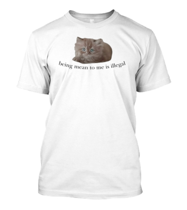 Being Mean To Me Is Illegal Cute Orange Cat T-Shirt