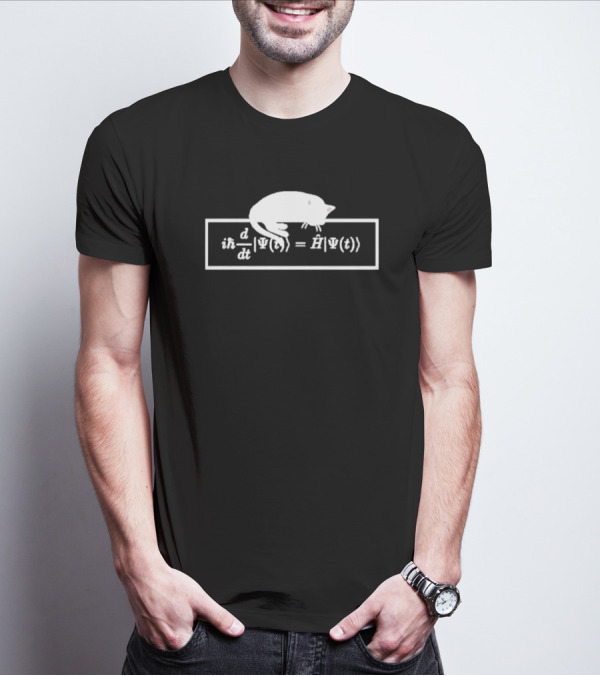 Schrodinger Equation Cat Quantum Physics Humor Psi Function T-Shirt