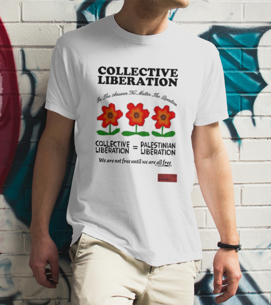 Collective Liberation Palestinian Liberation We Are Not Free Until We Are All Free T-Shirt