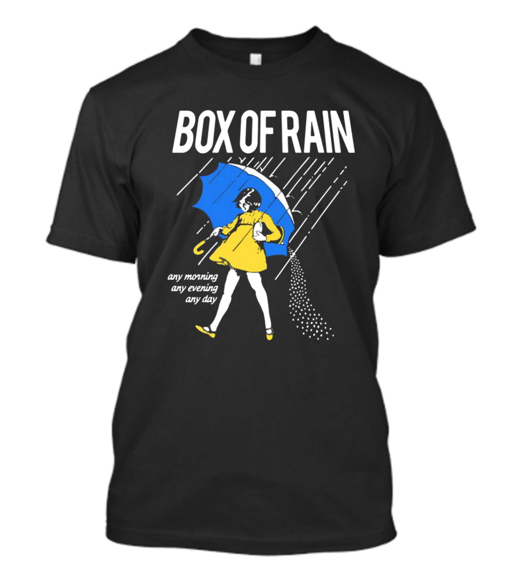 Box Of Rain Any Morning Any Evening Any Day T-Shirt