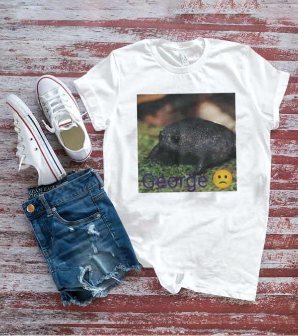 George Sad Frog Meme Inspired Image T-Shirt