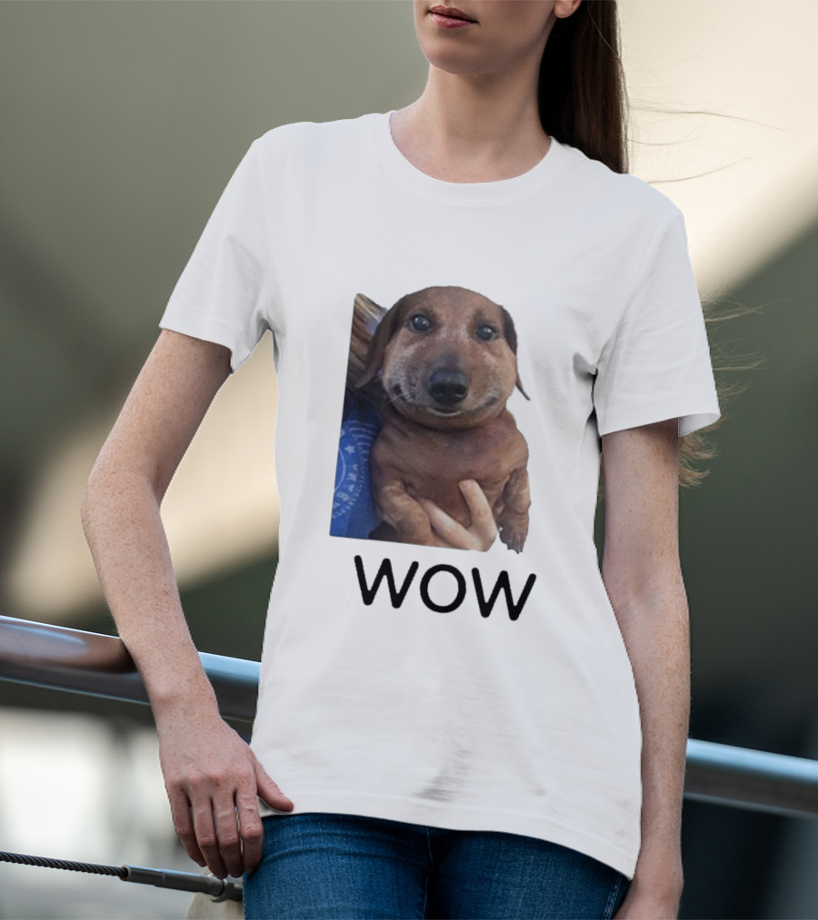 Fallenchungus Wow Dog Meme With Funny Expression T-Shirt