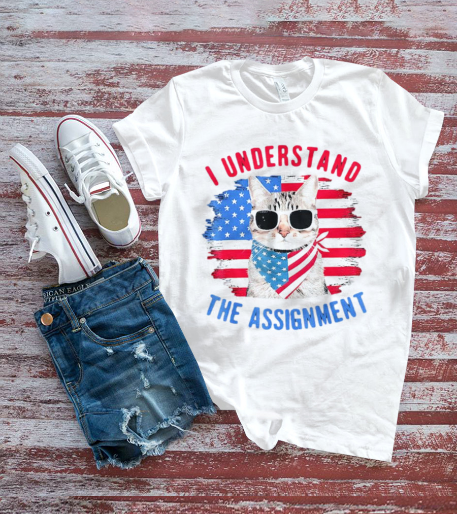 I Understand The Assignment Cat With American Flag Sunglasses And Scarf T-Shirt