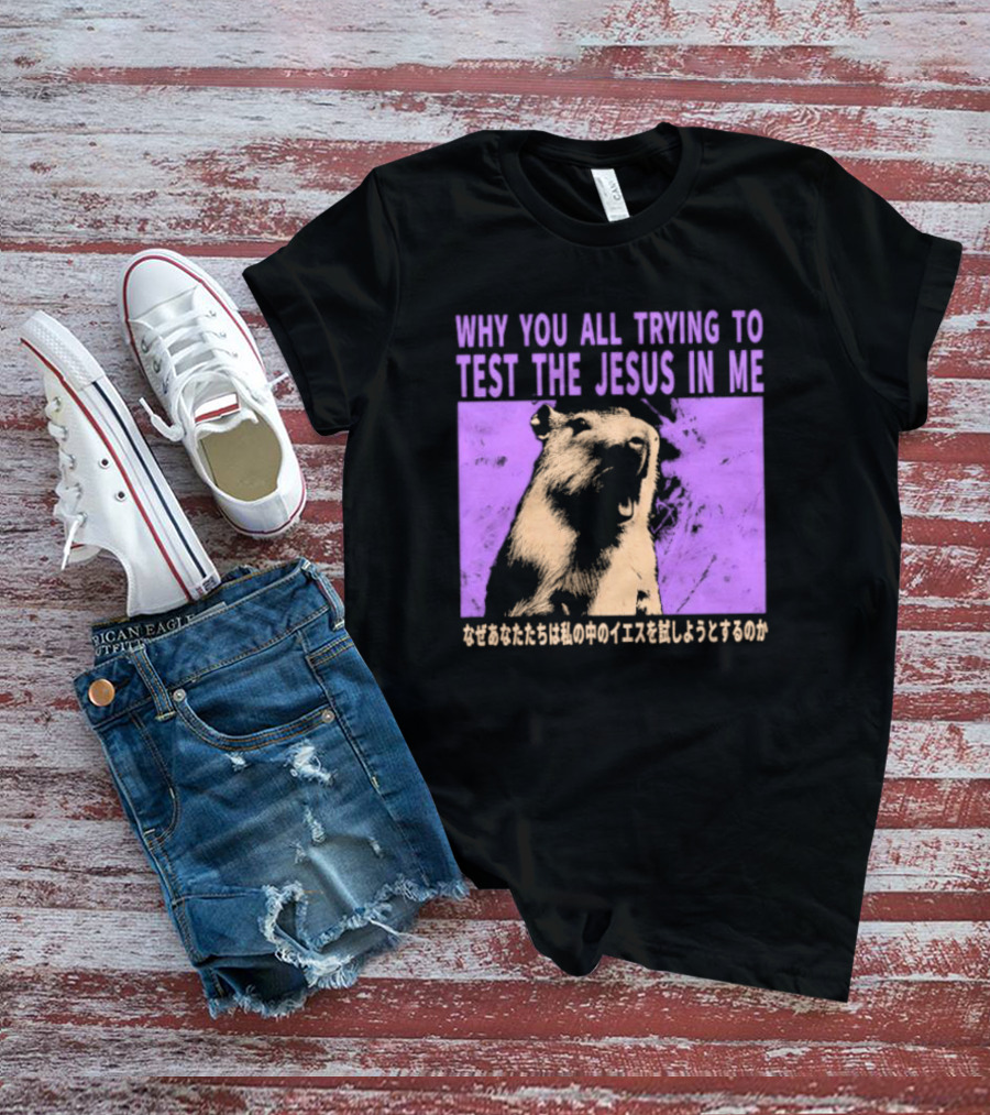 Why You All Trying To Test The Jesus In Me Capybara Japanese Text T-Shirt