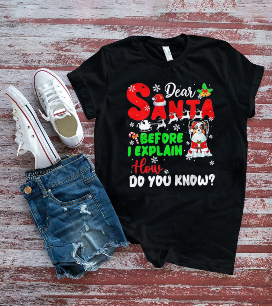 Dear Santa Before I Explain How Do You Know Santa Hat Reindeer Dog Xmas T-Shirt