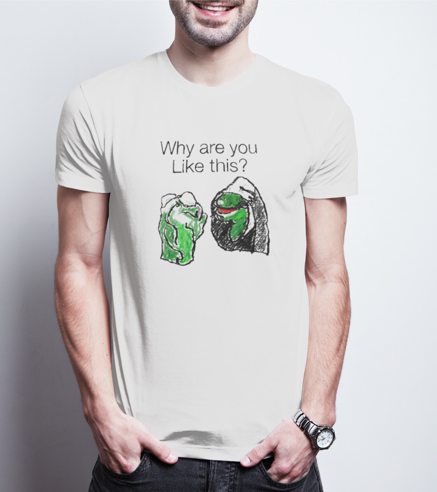 Why Are You Like This Meme Frog Hoodie Inner Self Conflict T-Shirt