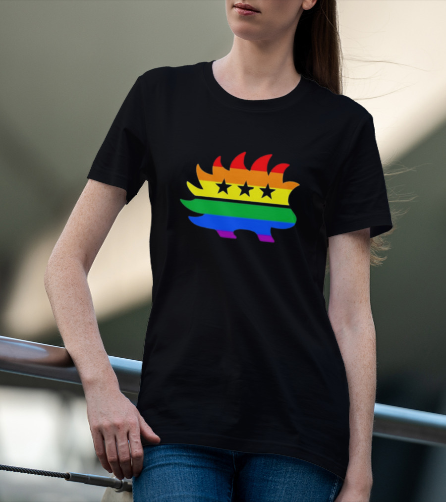 Dr. Simon Goddek Libertarian Porcupine Rainbow Flag Stars T-Shirt