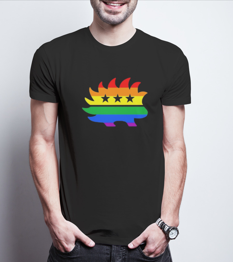 Dr. Simon Goddek Libertarian Porcupine Rainbow Flag Stars T-Shirt