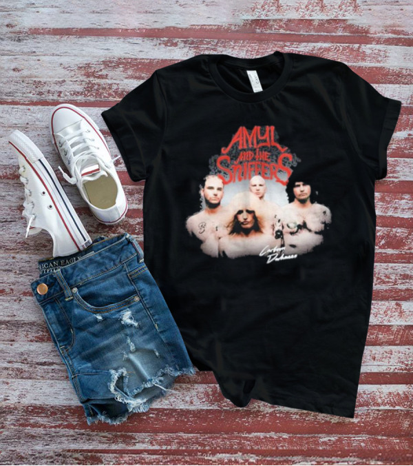 Amyl And The Sniffers Band Comfort To Me Logo Photo T-Shirt