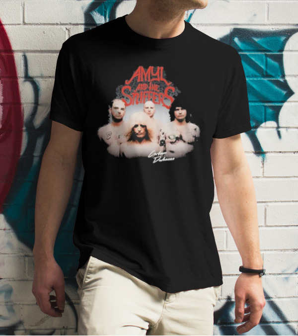 Amyl And The Sniffers Band Comfort To Me Logo Photo T-Shirt