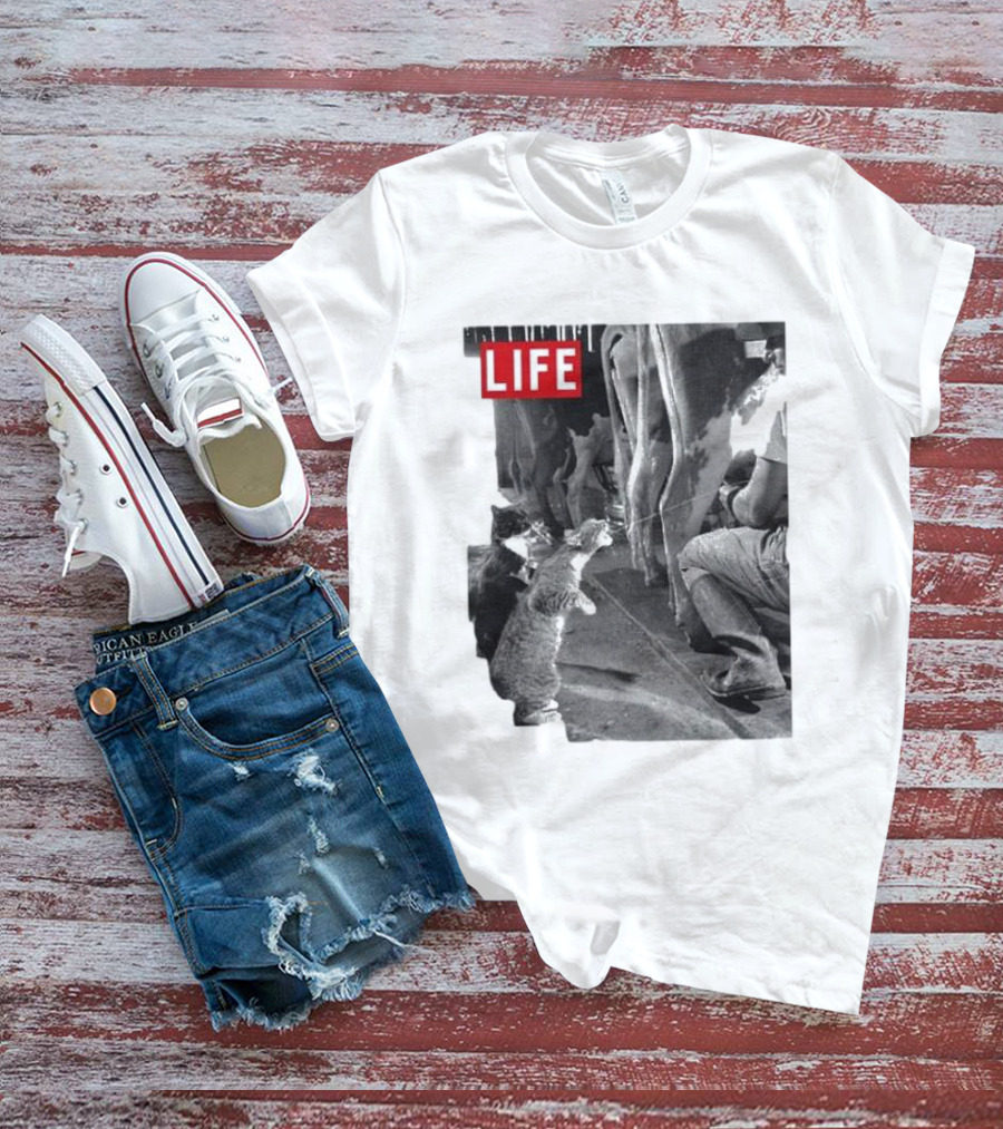 Life Magazine Cats Enjoying Fresh Milk T-Shirt