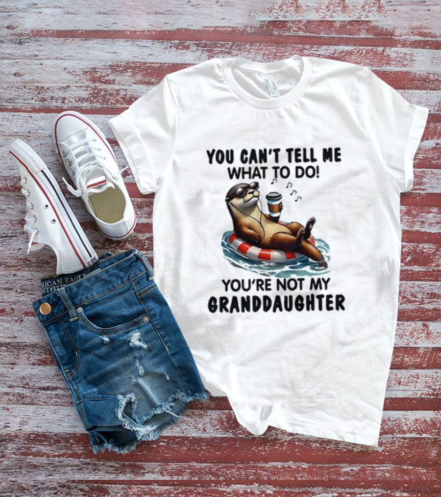 Otter You Can’t Tell Me What To Do Chill Floating On Water With Drink T-Shirt