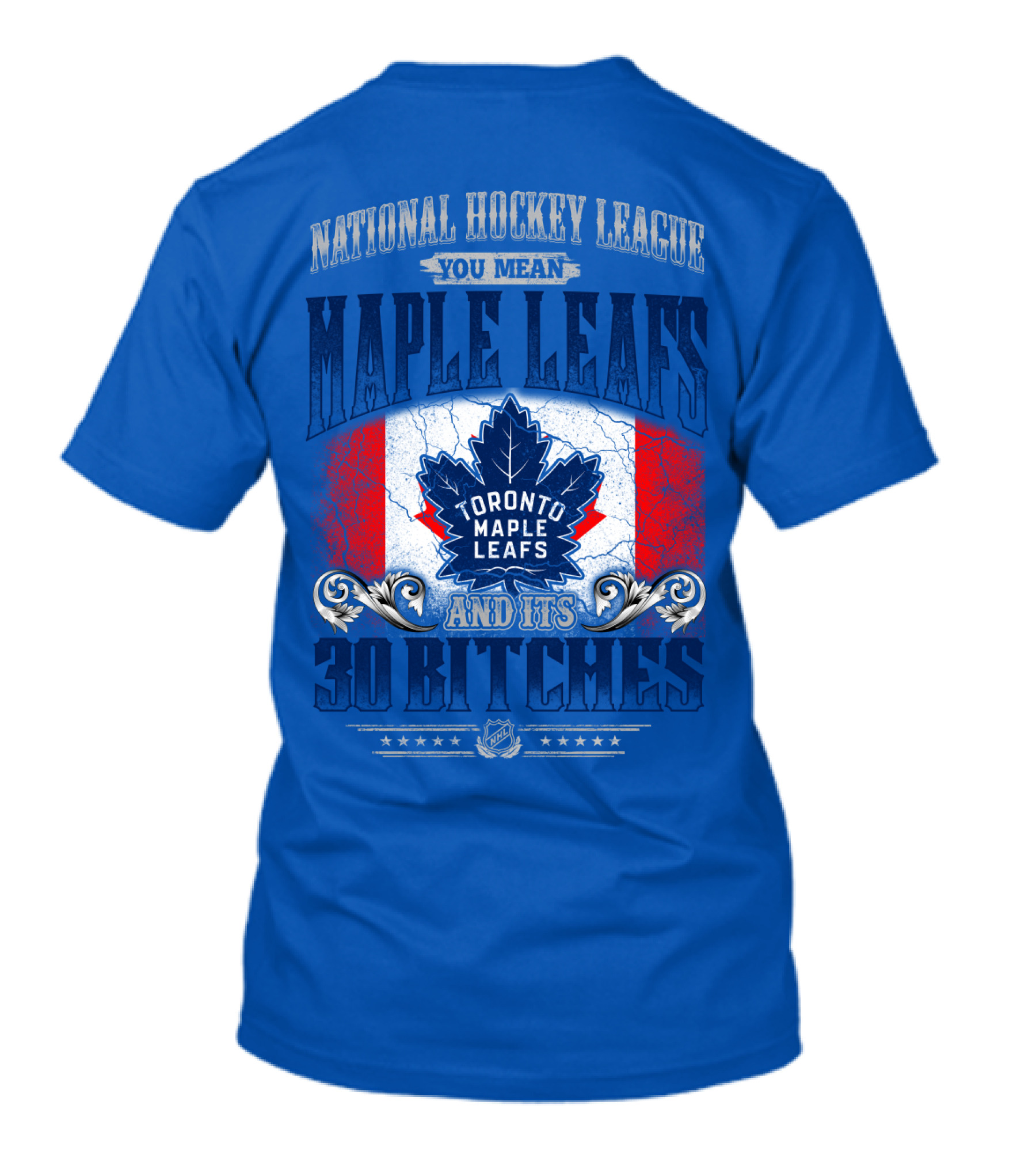 National Hockey League You Mean Toronto Maple Leafs And Its 30 Bitches T-Shirt