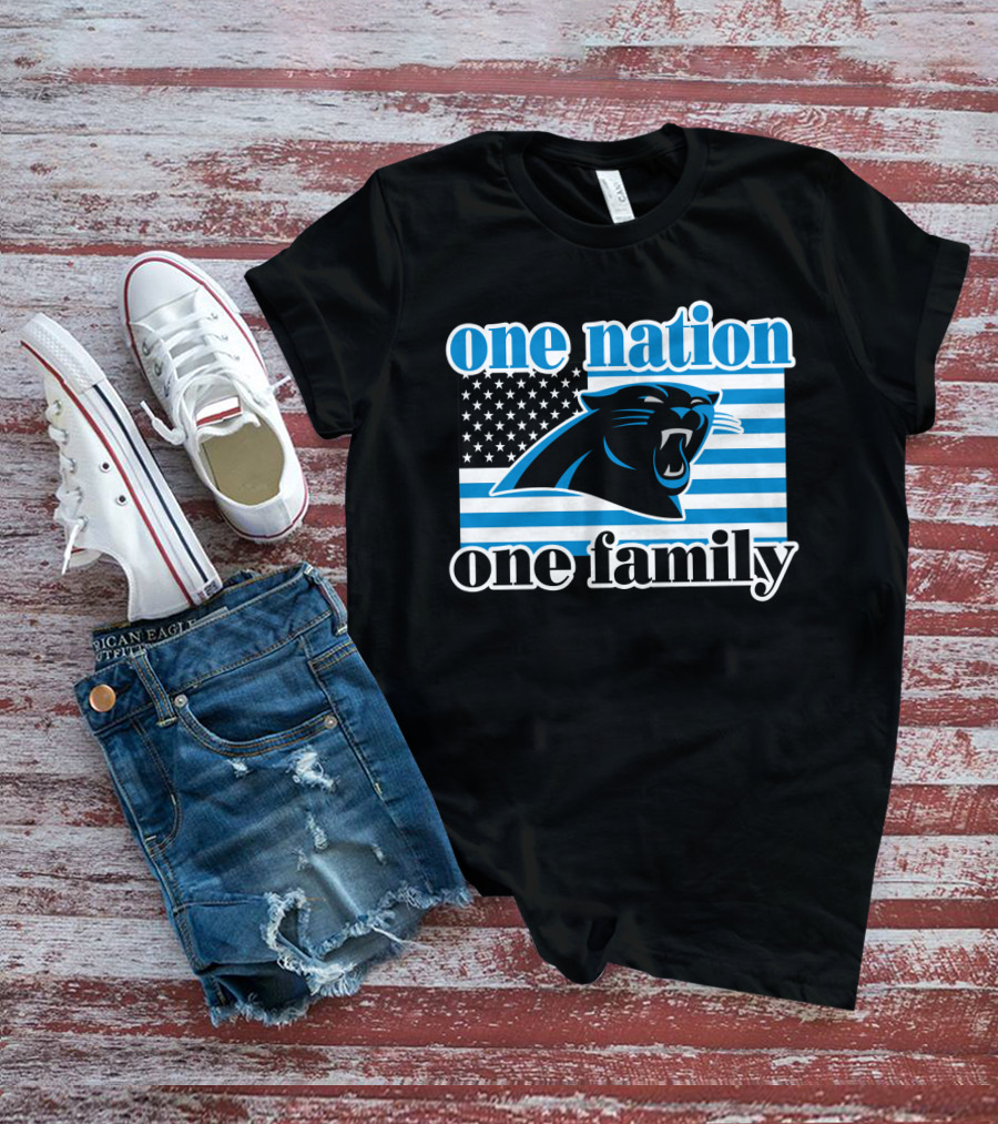 One Nation One Family Carolina Panthers 28 T-Shirt
