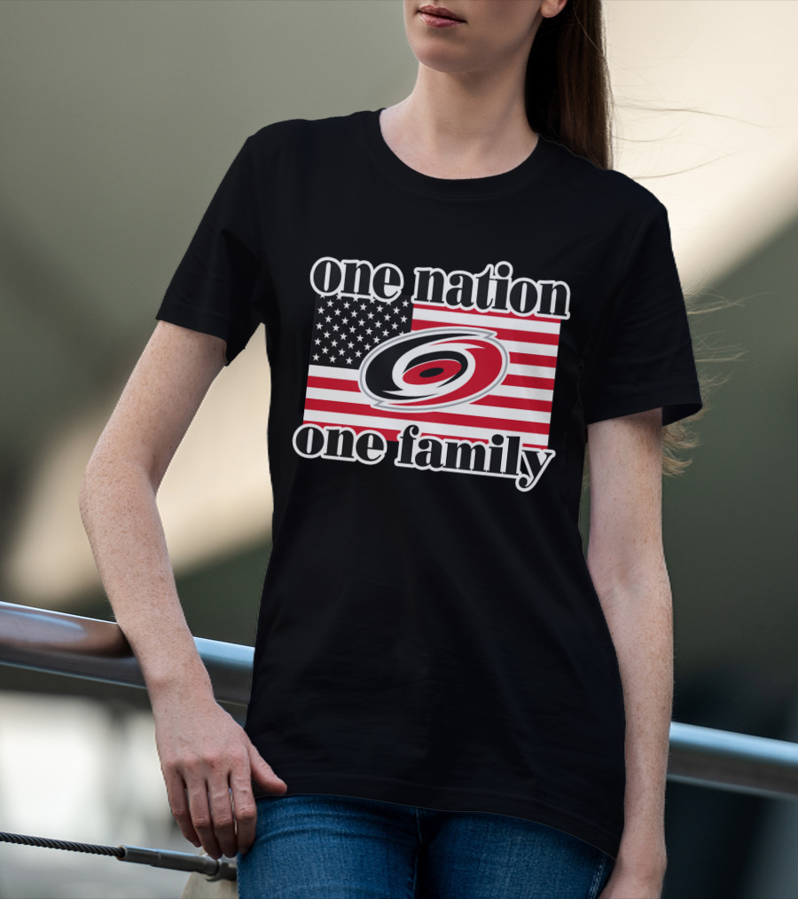One Nation One Family Carolina Hurricanes Usa Flag T-Shirt