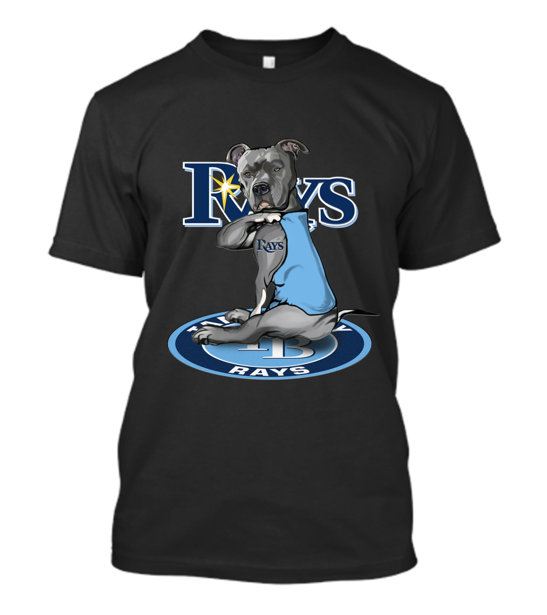 Rays Dog With Tampa Bay Rays Logo And 27-Tampa Bay Rays Circle T-Shirt