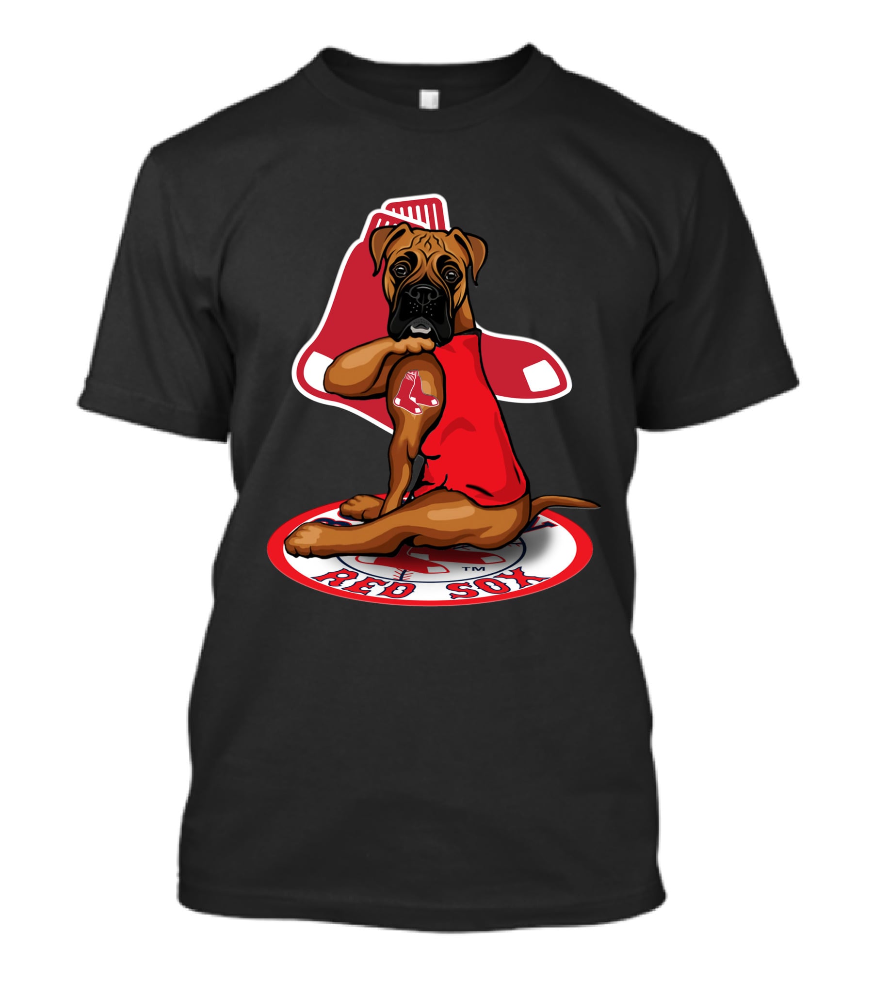 Boston Red Sox Dog Sitting On Iconic Sock T-Shirt