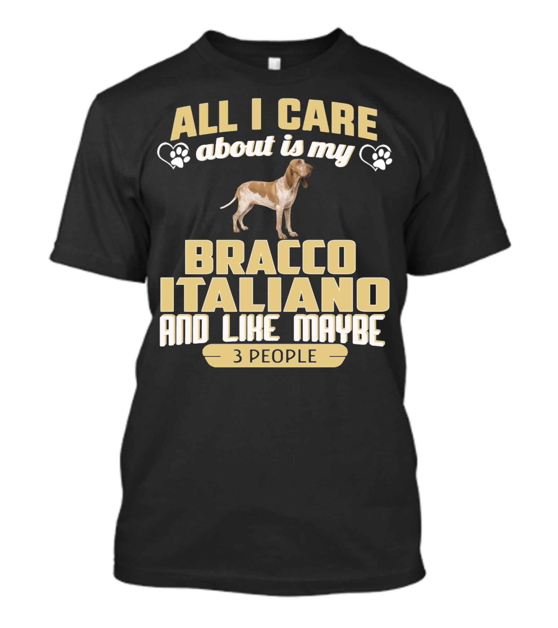 All I Care About Is My Bracco Italiano And Like Maybe 3 People T-Shirt