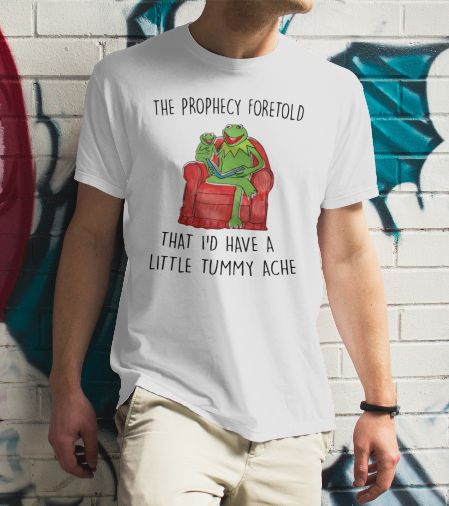 The Prophecy Foretold That I'd Have A Little Tummy Ache - Frog Reading On Red Armchair T-Shirt