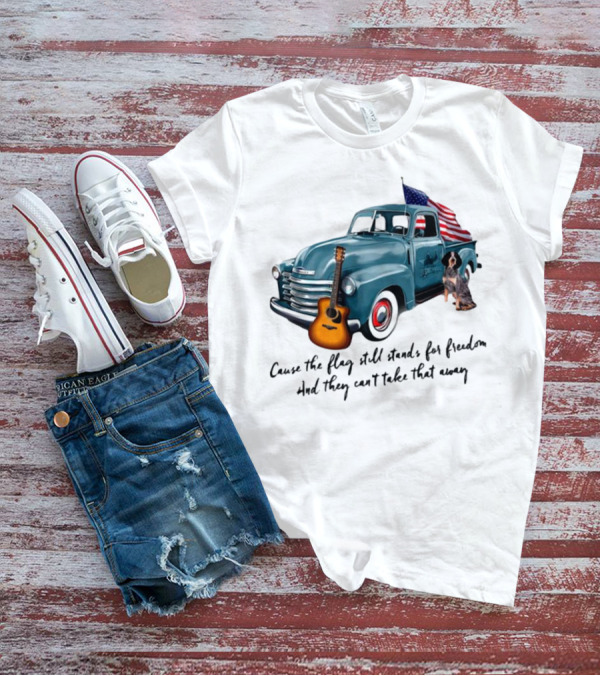 Cause The Flag Still Stands For Freedom And They Can't Take That Away Vintage Truck Guitar Dog Patriotism T-Shirt