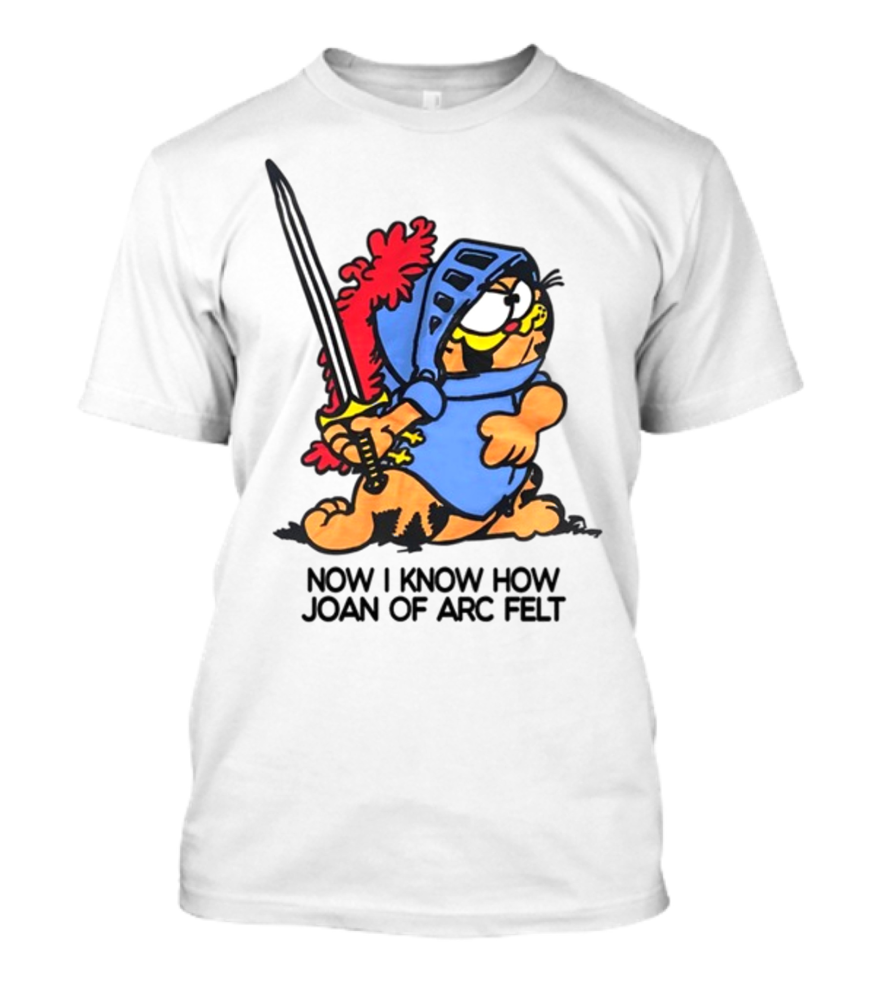Now I Know How Joan Of Arc Felt Garfield In Knight Armor Holding Sword T-Shirt