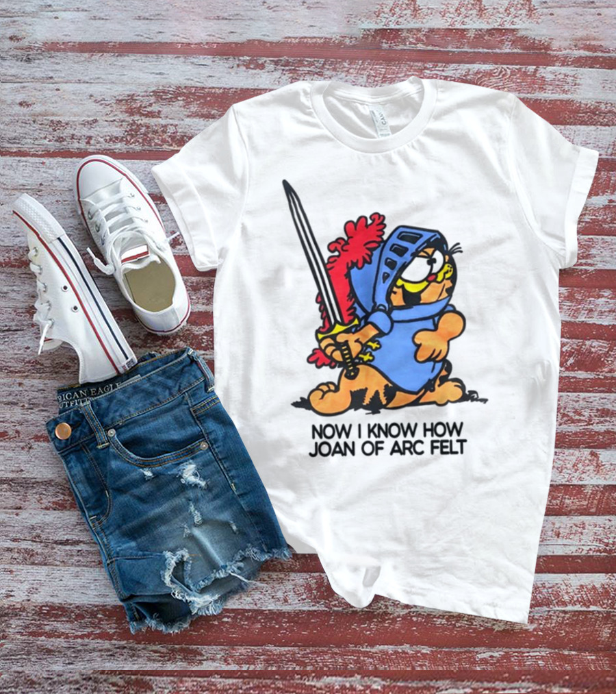 Now I Know How Joan Of Arc Felt Garfield In Knight Armor Holding Sword T-Shirt