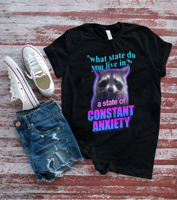 State Of Constant Anxiety Raccoon Humor T-Shirt