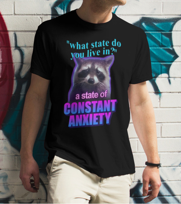 State Of Constant Anxiety Raccoon Humor T-Shirt