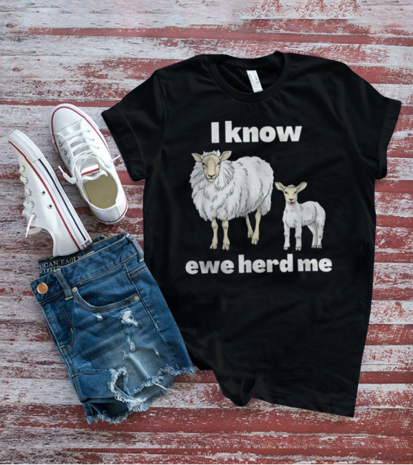 I Know Ewe Herd Me Funny Sheep Farmer Fathers Day Dad Jokes T-Shirt