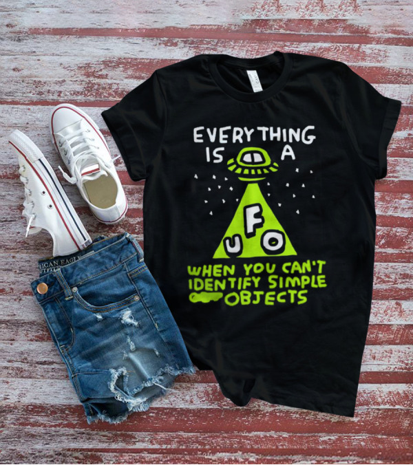 Everything Is A UFO When You Can't Identify Simple Objects T-Shirt