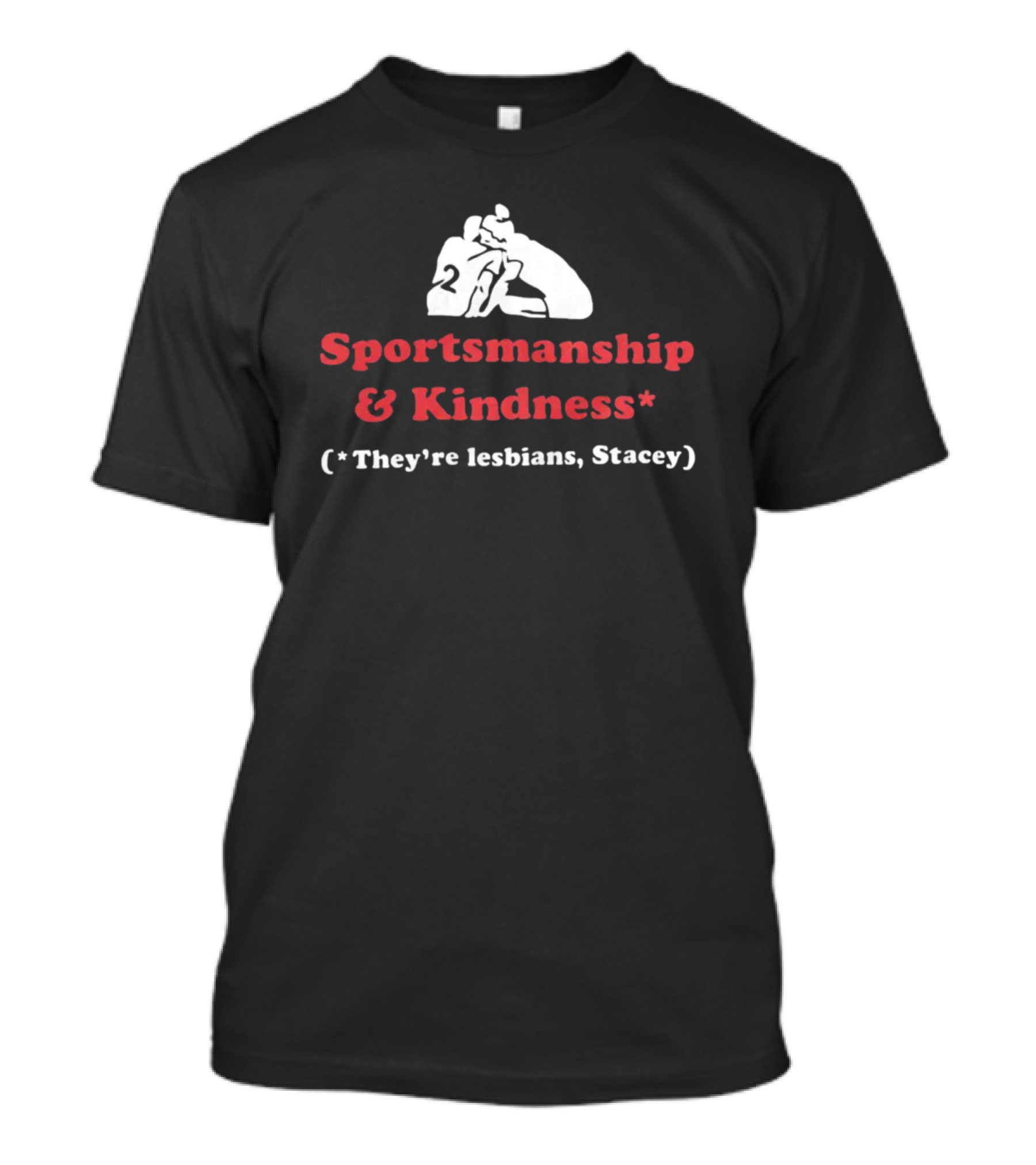 Sportsmanship And Kindness They're Lesbians Stacey Sports Embrace T-Shirt