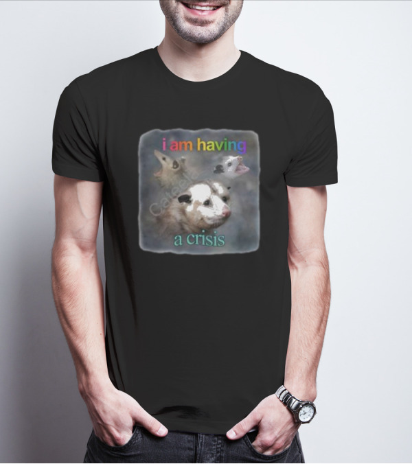 Snazzyseagull I Am Having A Crisis Possum Multicolored Text Mood T-Shirt