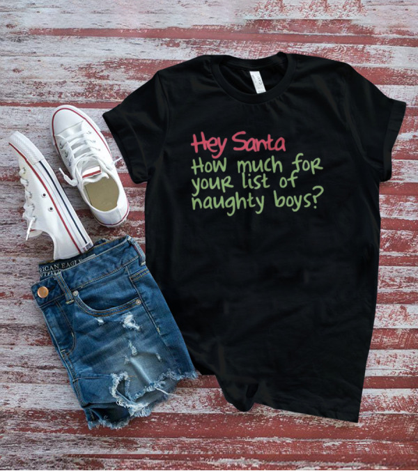 Hey Santa How Much For Your List Of Naughty Boys T-Shirt