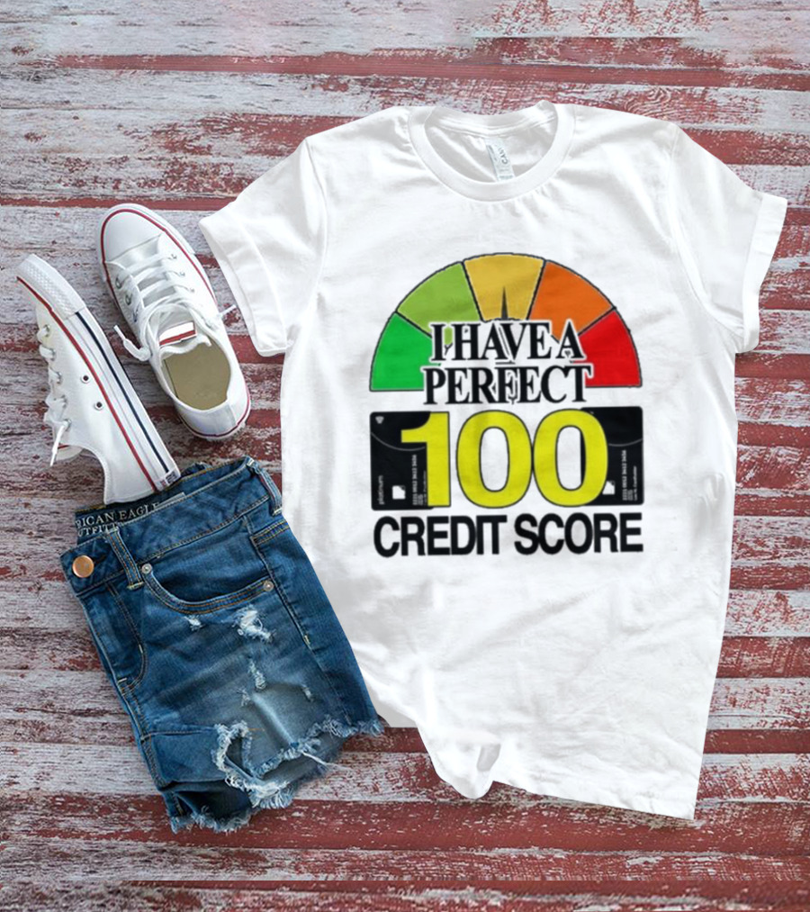 I Have A Perfect 100 Credit Score Gauge Graph T-Shirt