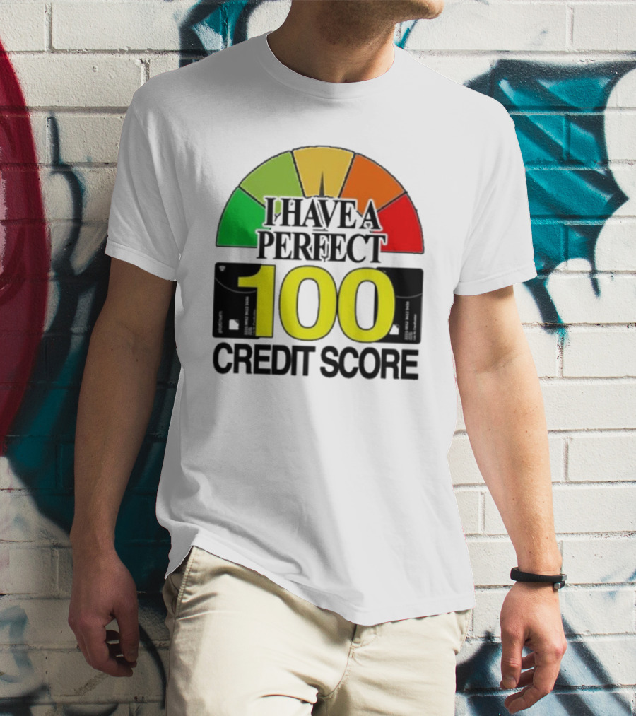 I Have A Perfect 100 Credit Score Gauge Graph T-Shirt
