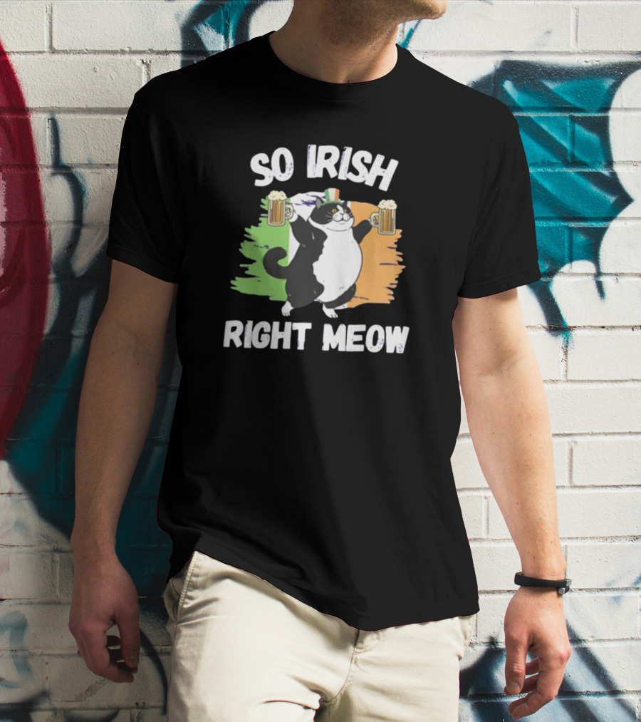 So Irish Right Meow Cat Holding Beer With Irish Flag In Background T-Shirt