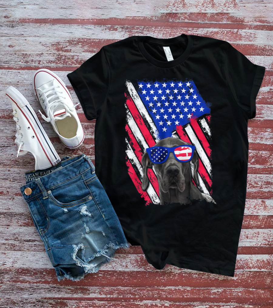 Vintage Distressed Great Dane With American USA Flag Sunglasses T-Shirt