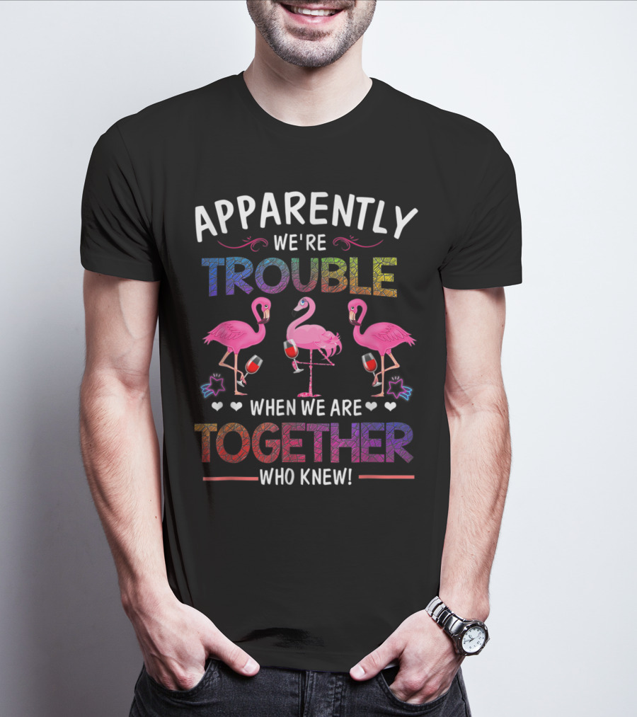 Apparently We're Trouble When We Are Together Who Knew Flamingo Wine Glass Party T-Shirt