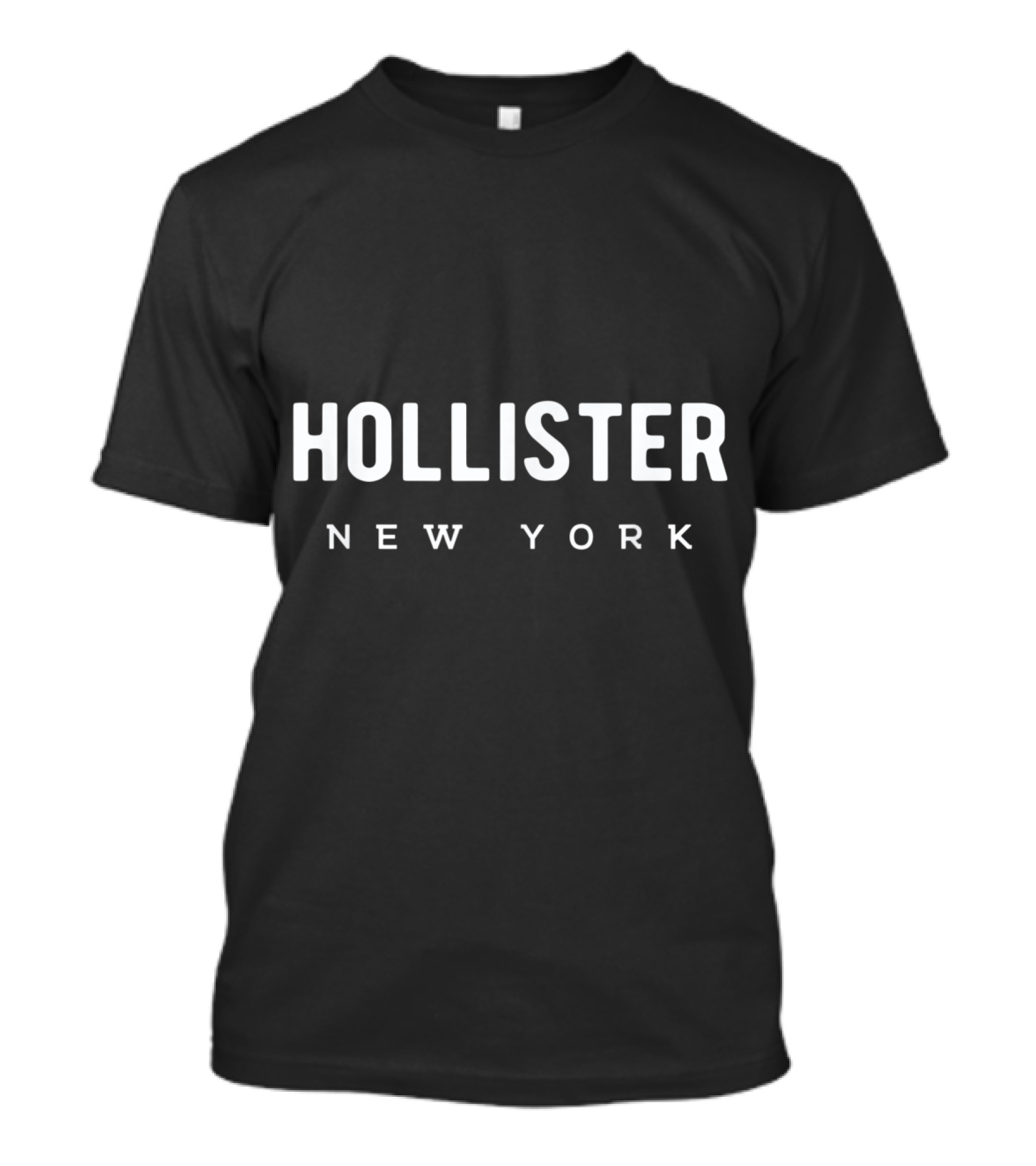 Hollister New York State Pride Family Friend Group T-Shirt