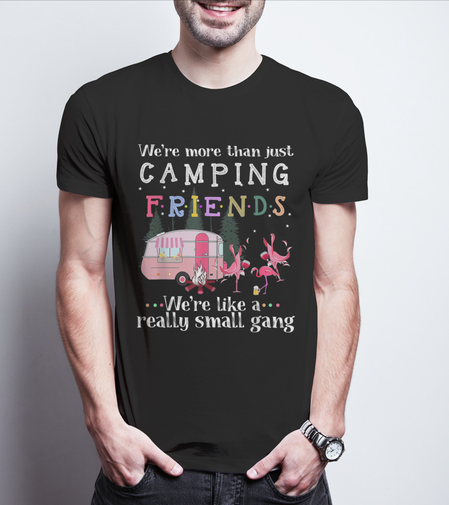 We're More Than Just Camping Friends Flamingo Like A Really Small Gang T-Shirt
