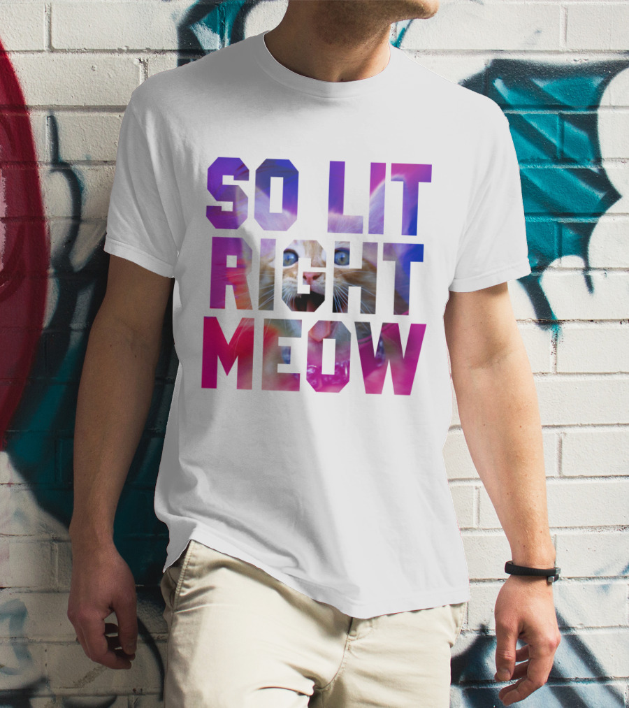 SO LIT RIGHT MEOW Cat Typography T-Shirt