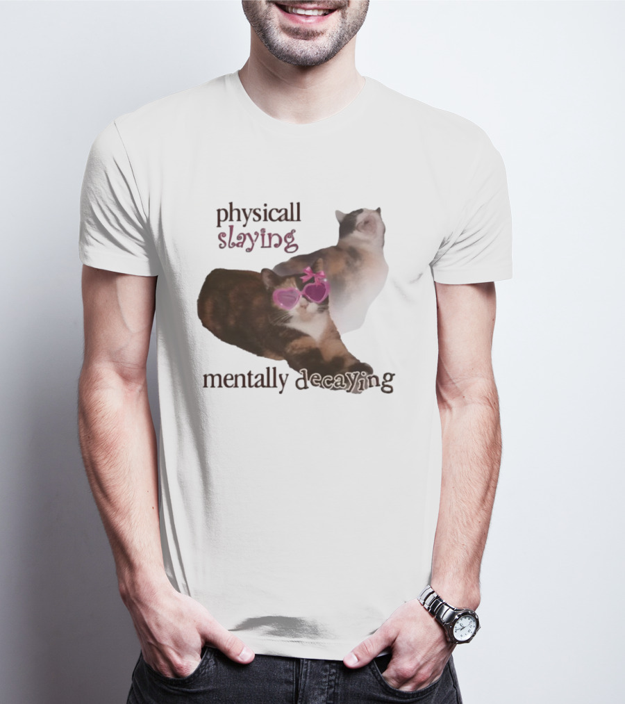 ```Snazzyseagull Physically Slaying Mentally Decaying Cat With Pink Heart Sunglasses``` T-Shirt