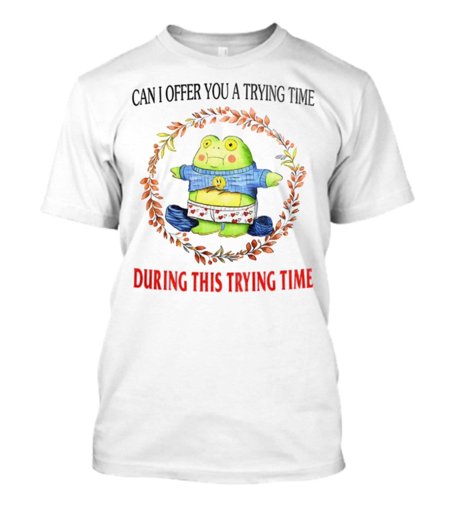 Can I Offer You A Trying Time During This Trying Time Funny Frog Meme T-Shirt