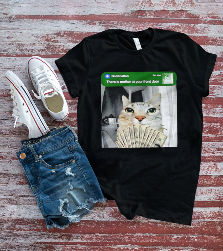 Notification Funny Cat Meme Motion At Your Front Door Money T-Shirt