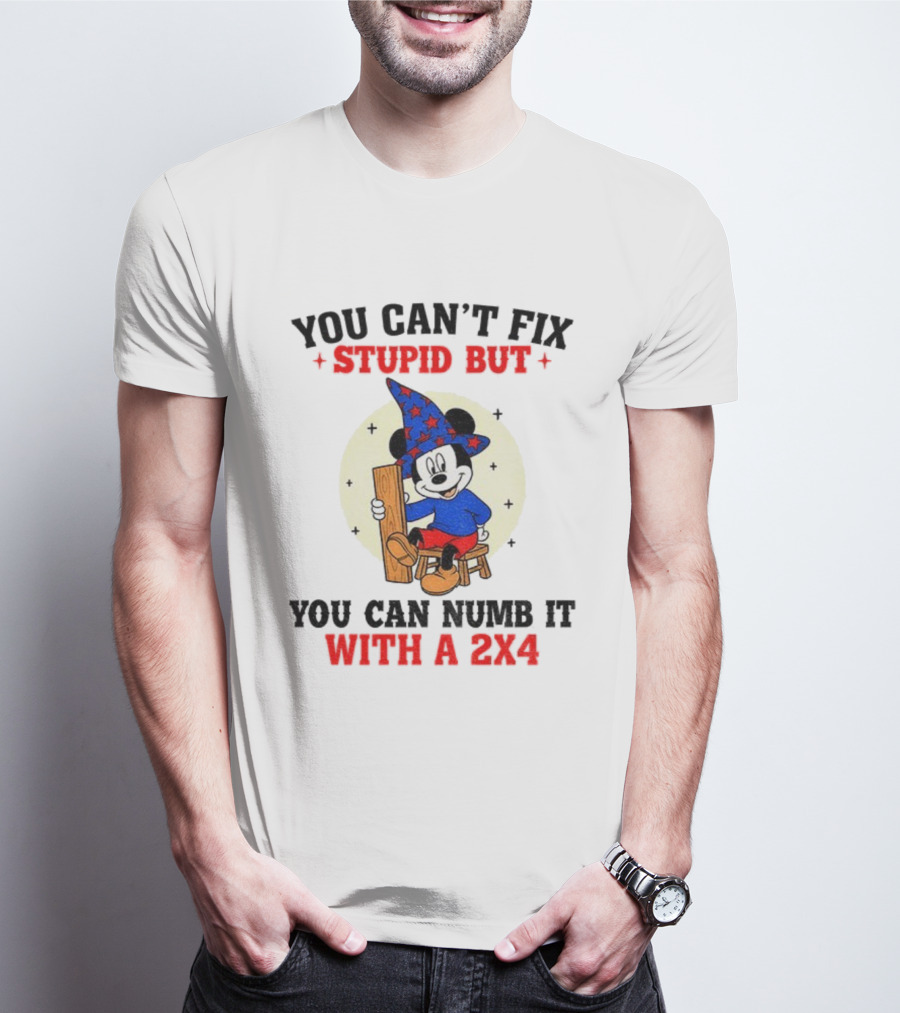 You Can't Fix Stupid But You Can Numb It With A 2x4 Mickey Witch T-Shirt