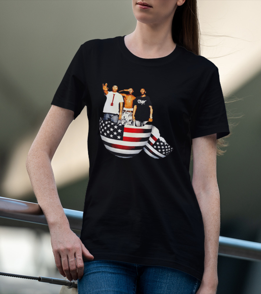 Pharrell Williams Chad Hugo Shae Haley USA Flag Egg Superimposed Image T-Shirt