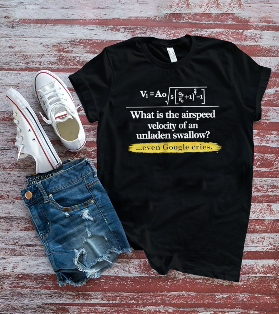 V1 Ao Formula What Is The Airspeed Velocity Of An Unladen Swallow Even Google Cries T-Shirt