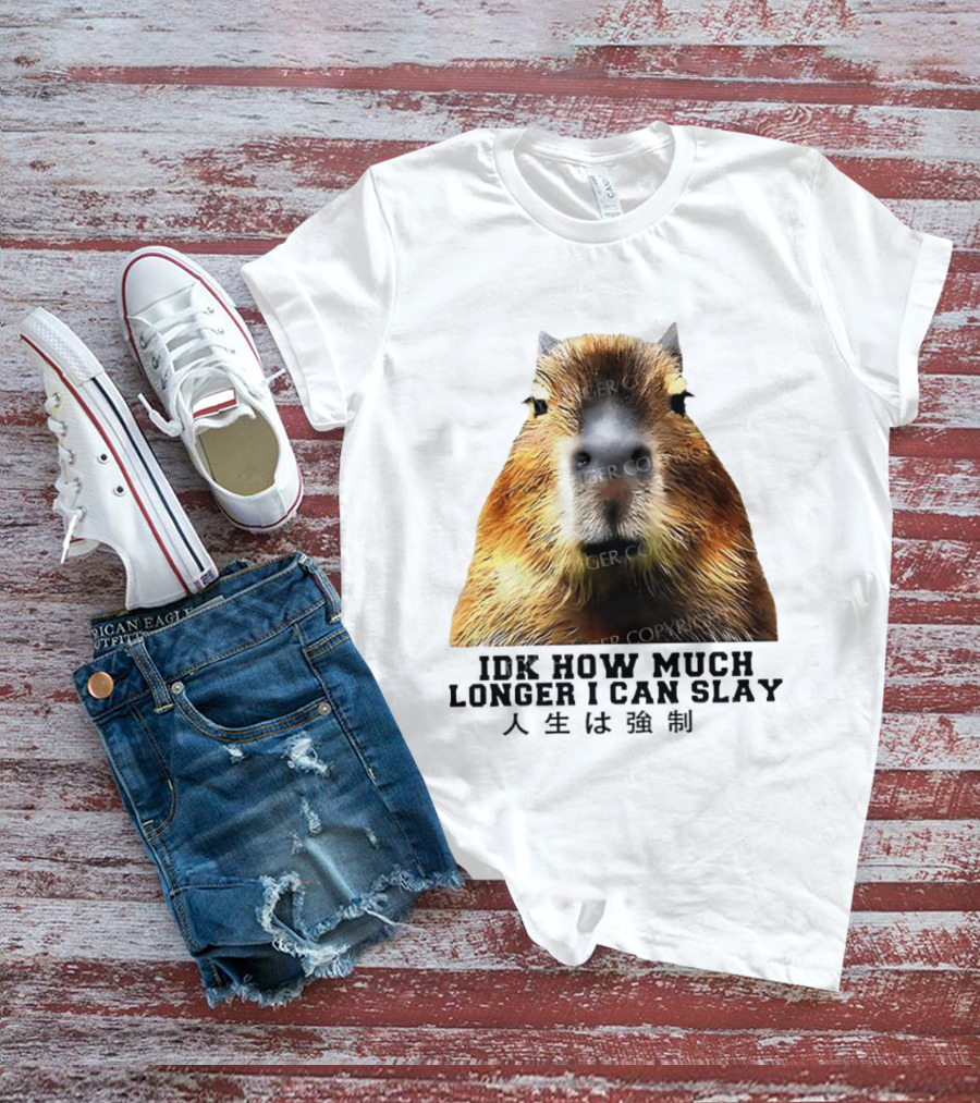 Capybara Idk How Much Longer I Can Slay T-Shirt