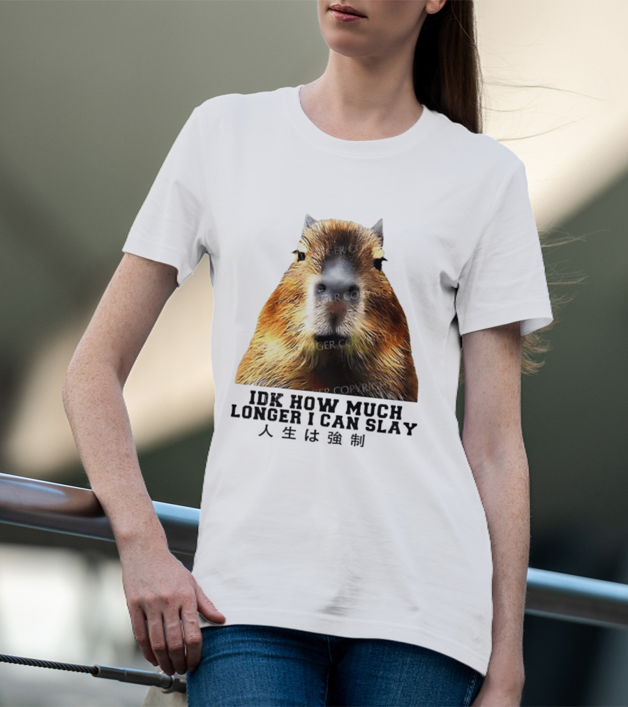 Capybara Idk How Much Longer I Can Slay T-Shirt